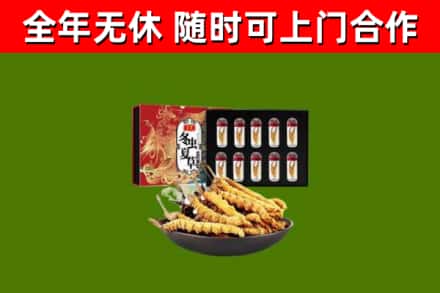 永登回收冬虫夏草价格